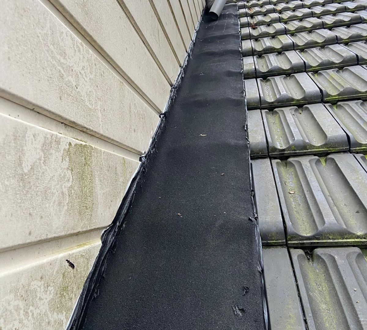 WhatsApp Image 2026-02-27 at 11.09.09 AM